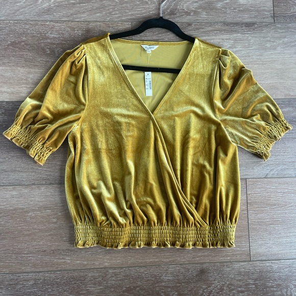 Madewell Tops - Beautiful Madewell velvet top.